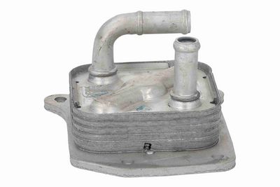 RADIATOR ULEI ULEI MOTOR ACKOJA A38600023 6