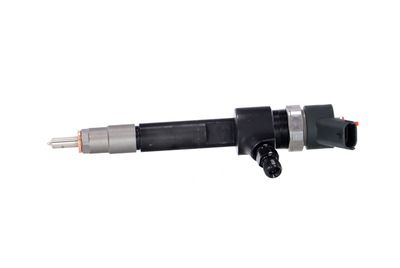 INJECTOR REMANTE 002003001695R 10