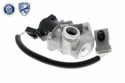 AGR-VENTIL VEMO V25630009 4