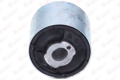 RULMENT DIFERENTIAL BIRTH 20031 7