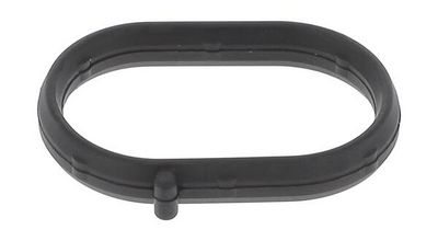 DICHTUNG ANSAUGKRüMMER