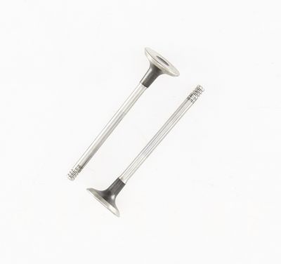 AUSLASSVENTIL CORTECO 551868B 1