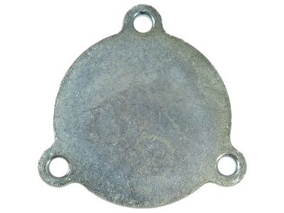 AS-PL Starterdeckel, Vergaser