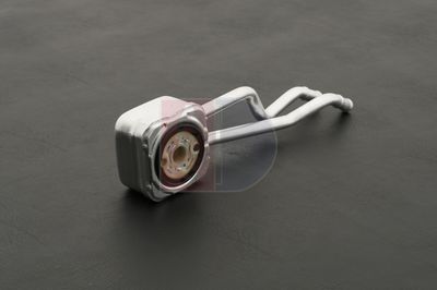 ÖLKüHLER MOTORöL AKS DASIS 046008N 5