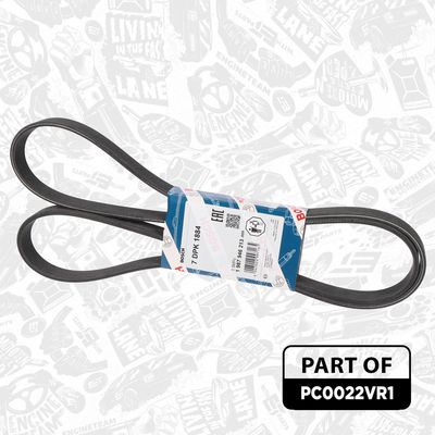 SET FULIE ARBORE COTIT ET ENGINETEAM PC0022VR1 5