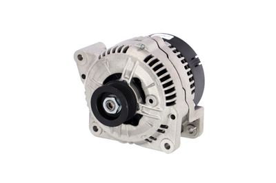GENERATOR / ALTERNATOR REMANTE 011003000102R 65