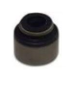 DICHTRING VENTILSCHAFT