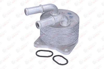 RADIATOR ULEI ULEI MOTOR BIRTH 80874 3