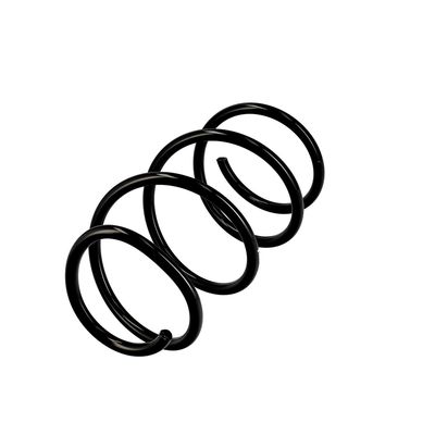 ARC SPIRAL EIBACH R10129 3