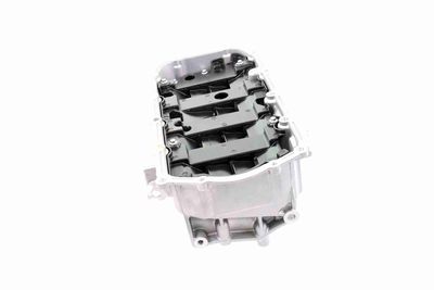 BAIE ULEI VAICO V240673 3