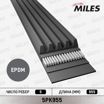 Поликлиновой ремень MILES 5PK955 для FIAT ALBEA