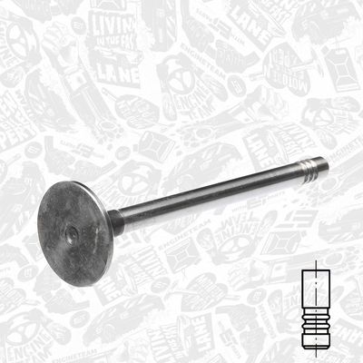 SUPAPA EVACUARE ET ENGINETEAM VE0013 1