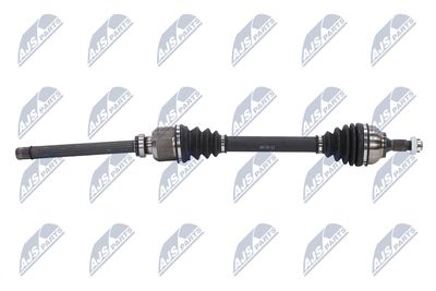 PLANETARA NTY NPWCT107 6