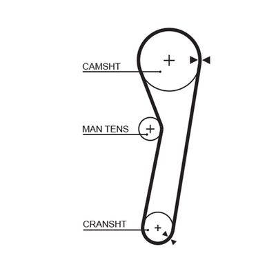 Timing Belt GATES 5261XS