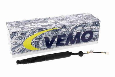 MOTOR ELECTRIC HAION VEMO V58550001 1
