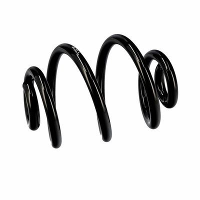 ARC SPIRAL EIBACH R10030 6