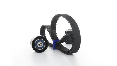 SET CUREA DE DISTRIBUTIE SKF VKMA03305 29