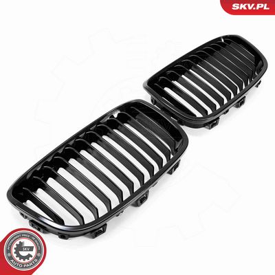 GRILA RADIATOR ESEN SKV 66SKV012 2