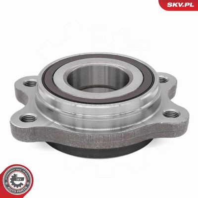 SET RULMENT ROATA ESEN SKV 29SKV702 2