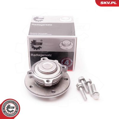 SET RULMENT ROATA ESEN SKV 29SKV117 4