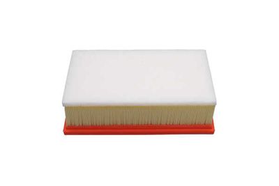 FILTRU AER AMC Filter FAF10611 22