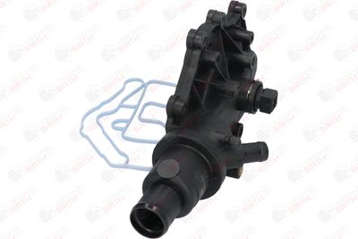 CAPAC CUREA DINTATA BIRTH 8897 11