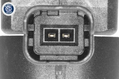 CONVERTOR PRESIUNE VEMO V25630069 1