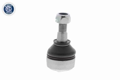 CAP DE BARA ACKOJA A371118 7