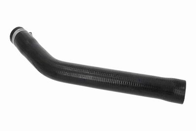 FURTUN EAR SUPRAALIMENTARE VAICO V241595 3