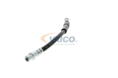 FURTUN FRANA VAICO V104119 25