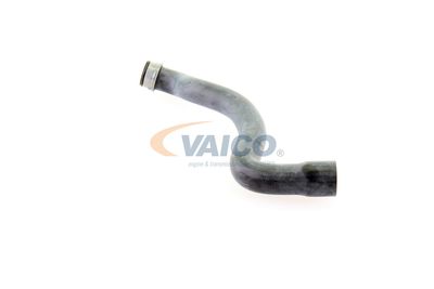 KüHLERSCHLAUCH VAICO V301655 19