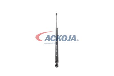 AMORTIZOR PORTBAGAJ ACKOJA A380127 49