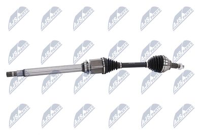 PLANETARA NTY NPWAR022 6