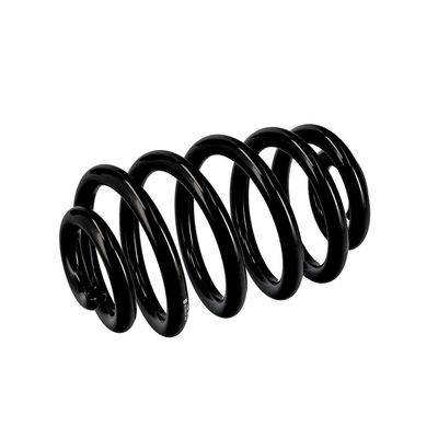 ARC SPIRAL EIBACH R10010 5