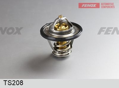термостат, охладителна течност FENOX TS208
