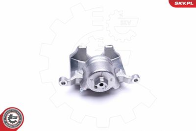 Brake Caliper 45SKV011