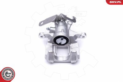 Brake Caliper 50SKV034