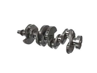 ARBORE COTIT ET ENGINETEAM HK0228 19
