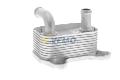 ÖLKüHLER MOTORöL VEMO V40602106 34
