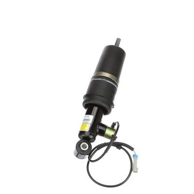 LUFTFEDERBEIN Arnott AS2177 61