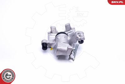 Brake Caliper 45SKV163