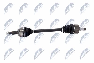 PLANETARA NTY NPWCT146 23