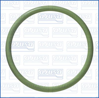 GARNITURA CONDUCTA LICHID DE RACIRE