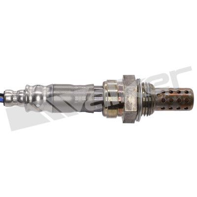 LAMBDASONDE WALKER PRODUCTS 25024863 1