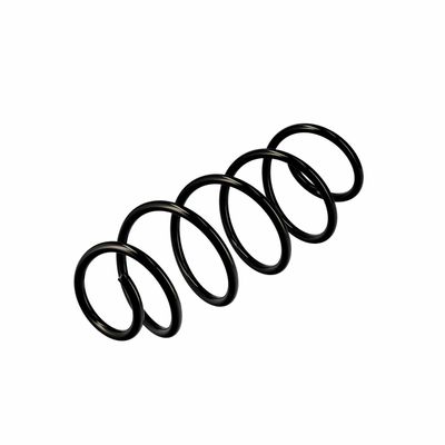ARC SPIRAL EIBACH R10079 16