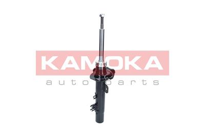 Shock Absorber 2000398