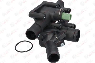 FLANSA LICHID RACIRE BIRTH 80445 11