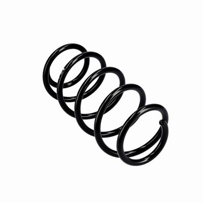 ARC SPIRAL EIBACH R10341 11