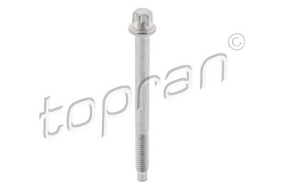 Śruba, wtryskiwacz TOPRAN 306296