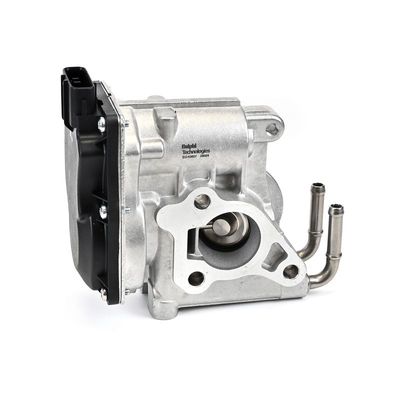 AGR-VENTIL DELPHI EG1060712B1 25